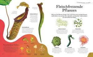 Große und kleine Schätze der Natur: Pflanzen