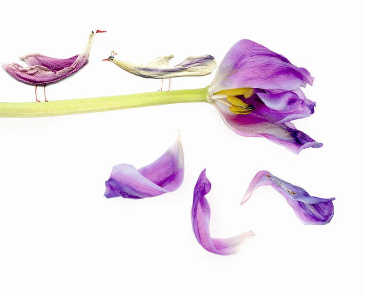Floras Atelier