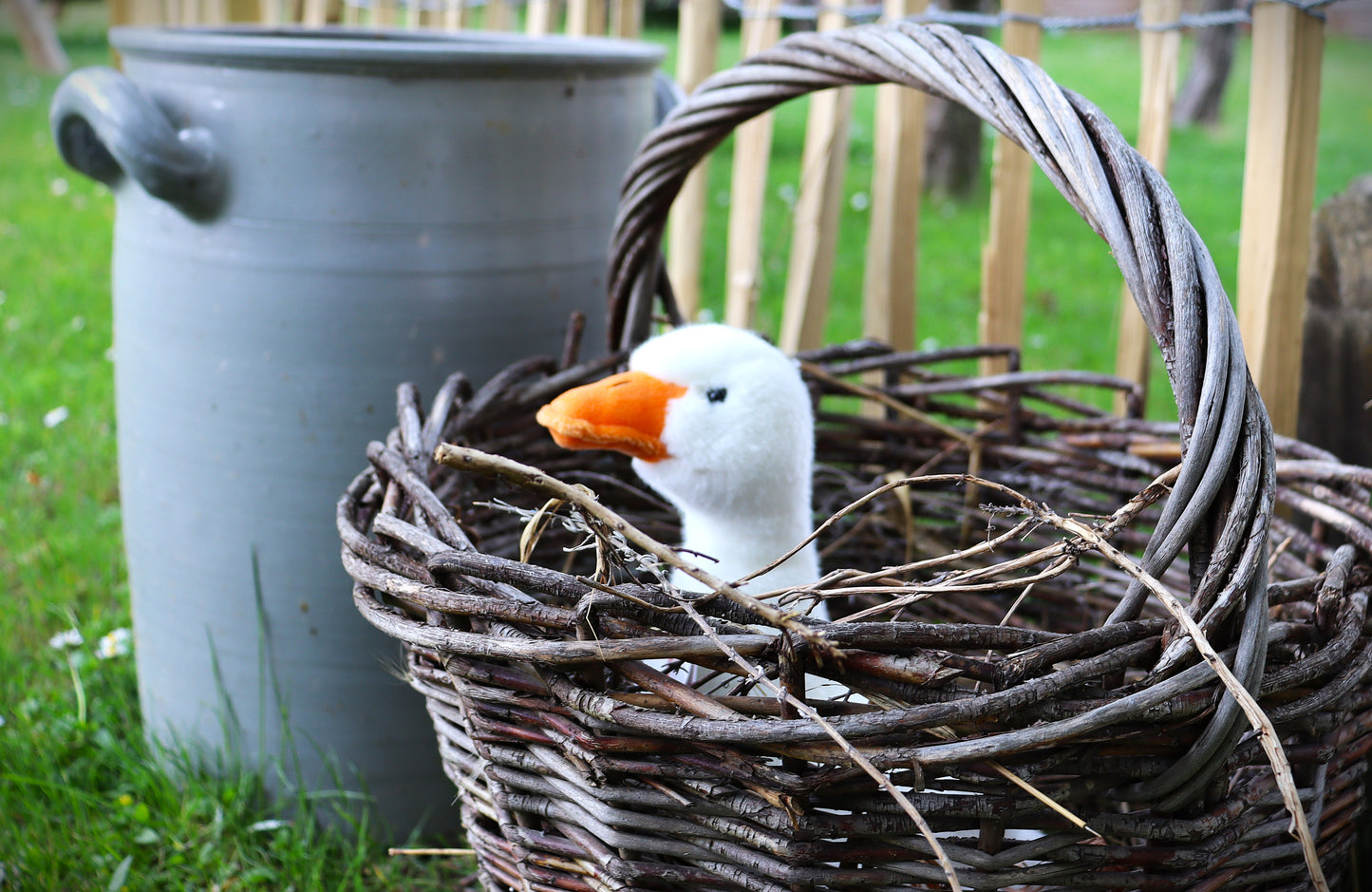 Gans (von Teddy Hermann)