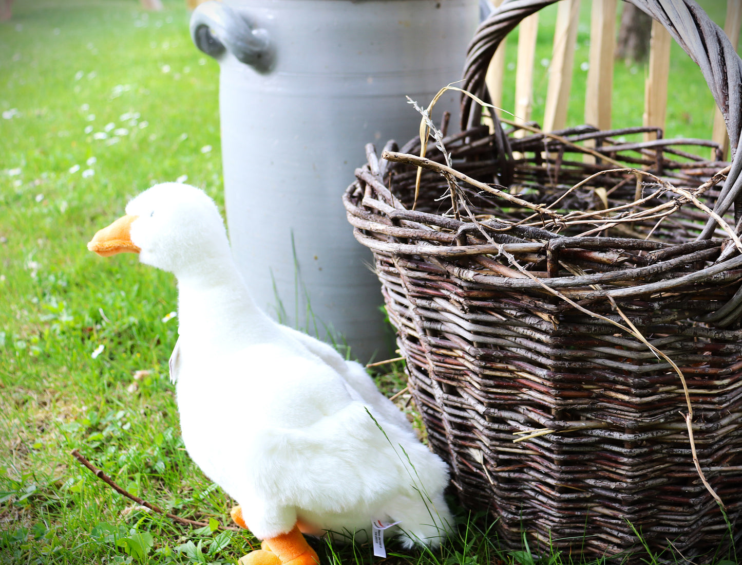 Gans (von Teddy Hermann)