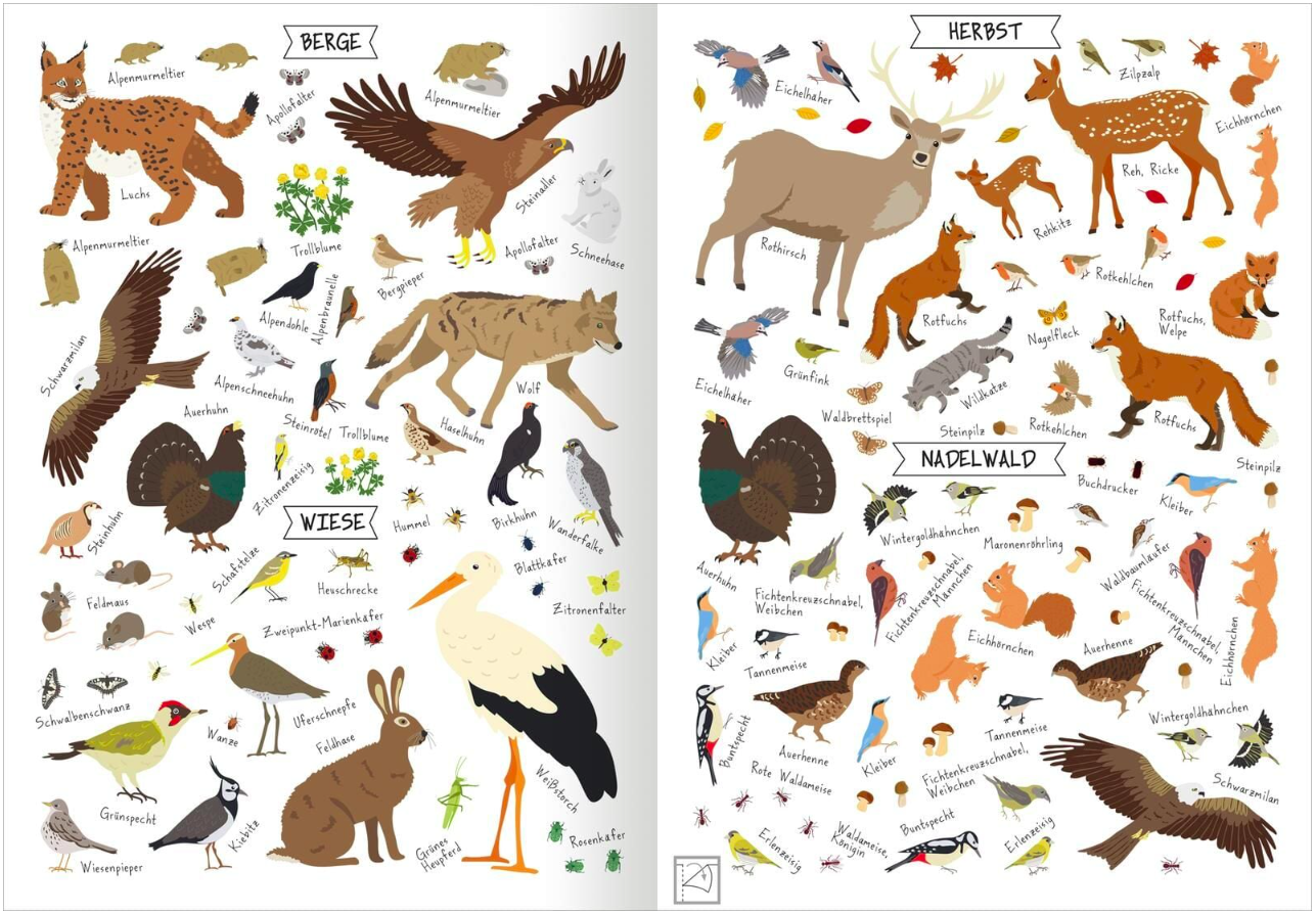 Naturforscher-Kids – Stickerheft Heimische Tierwelt