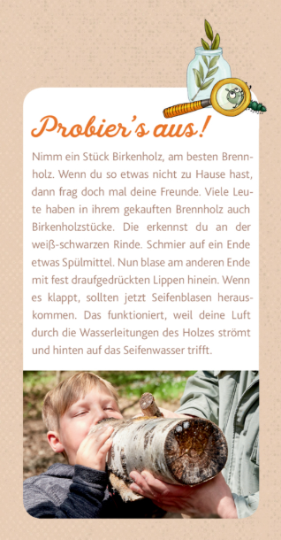 Peter & Piet. Meine großen Waldexperimente