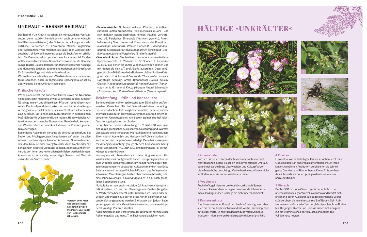 Das große Praxishandbuch Garten