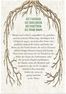 Uralte Weisheiten der Bäume
