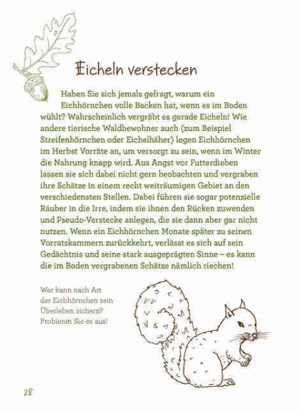Abenteuer Waldschule: Natur-Erlebnisse für Kinder von 3 bis 11 Jahren