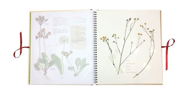 Auf der Hummelwiese - Das große Herbarium