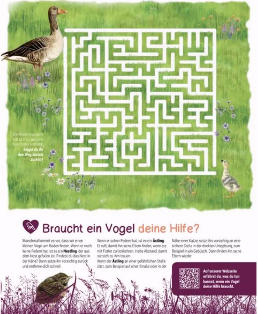 Birding. Entdecke die Wunderwelt der Vögel