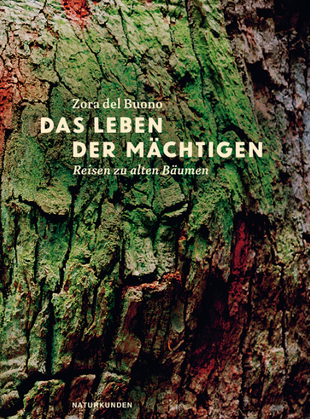 Das Leben der Mächtigen