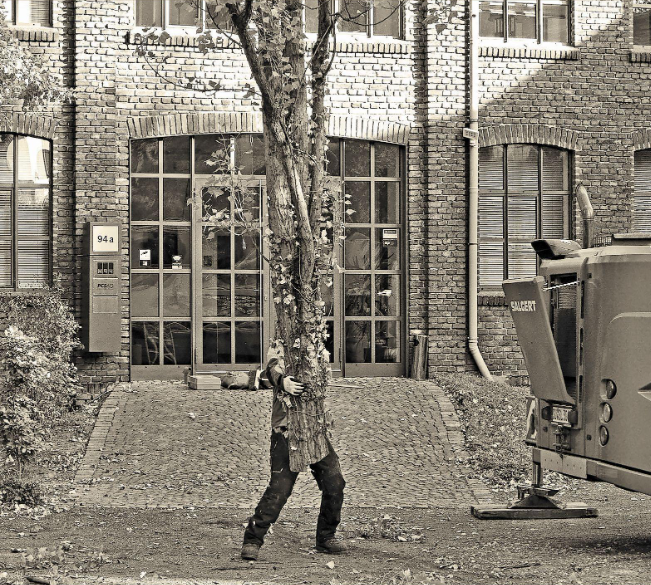 Die Baumhirten