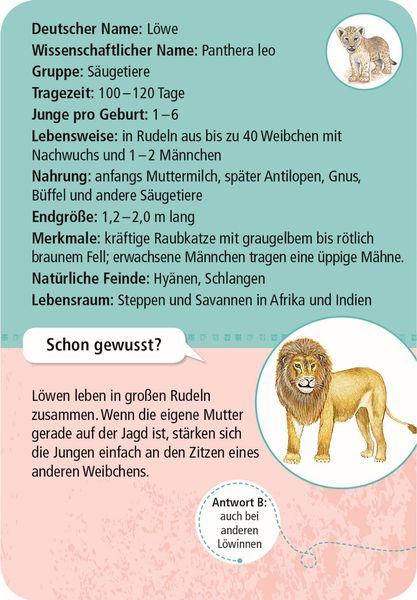 50 Tierkinder