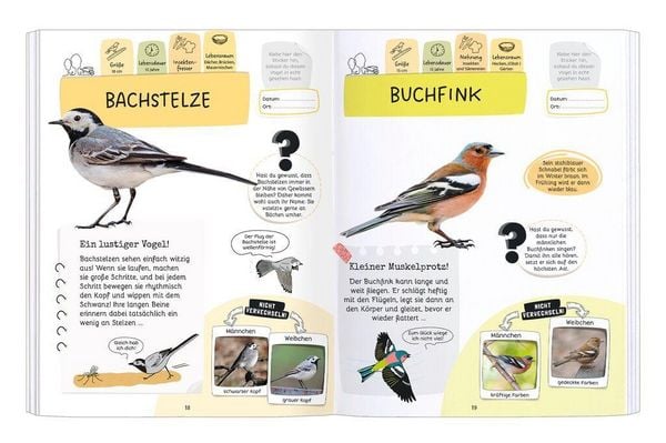 Expedition Natur Rätseln, Stickern, Bestimmen - Vögel