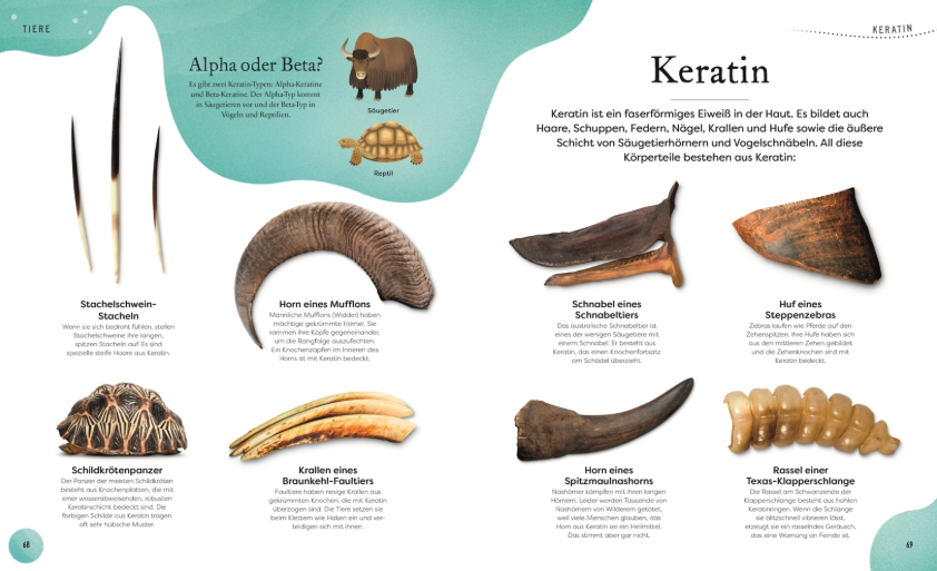 Große und kleine Schätze der Natur