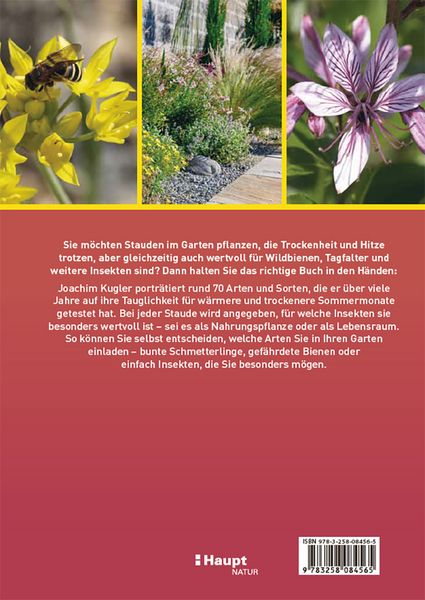 Klima starke Stauden