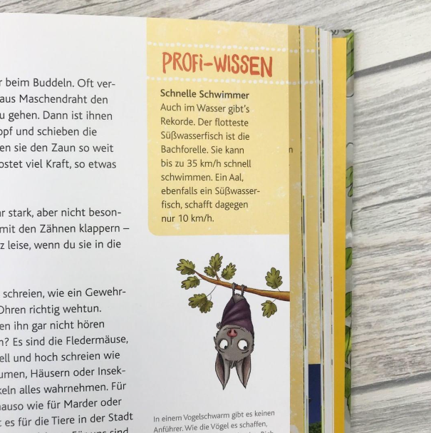 Kommst du mit nach draußen?
