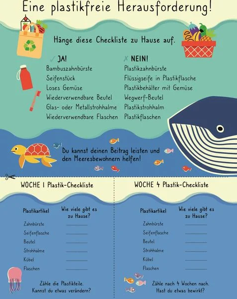 Lass dieses Buch verschwinden - Verwandele dieses Buch in umweltfreundliche Projekte