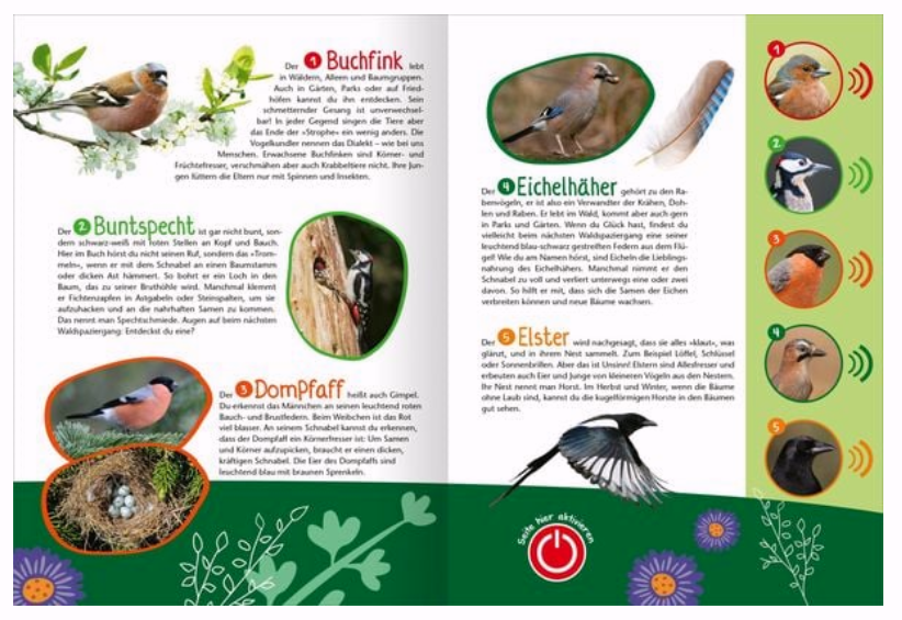 Mein großes Soundbuch Vögel