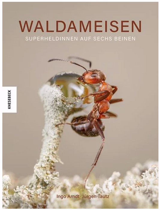 Waldameisen