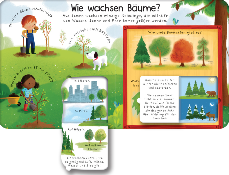 Erstes Aufklappen und Verstehen: Warum brauchen wir Bäume?