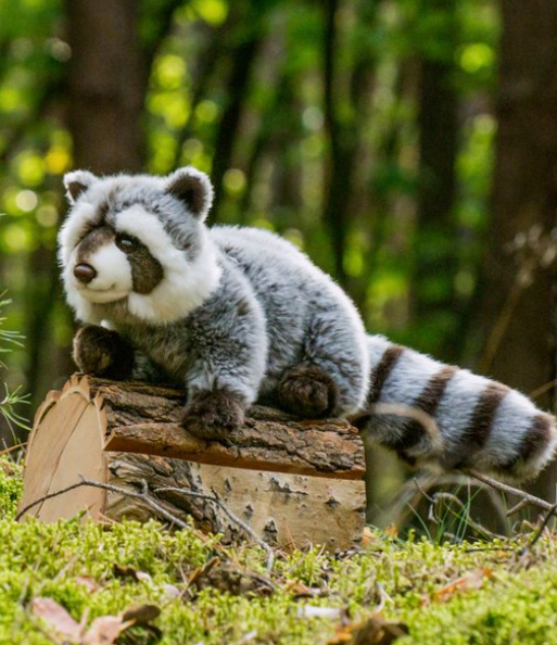 Waschbär (von Teddy Hermann)