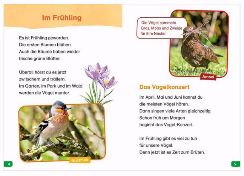 WAS IST WAS Erstes Lesen easy! Band 7. Wie leben unsere Vögel?
