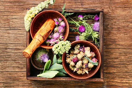 Garten-Naturzauber & Kräuterwissen