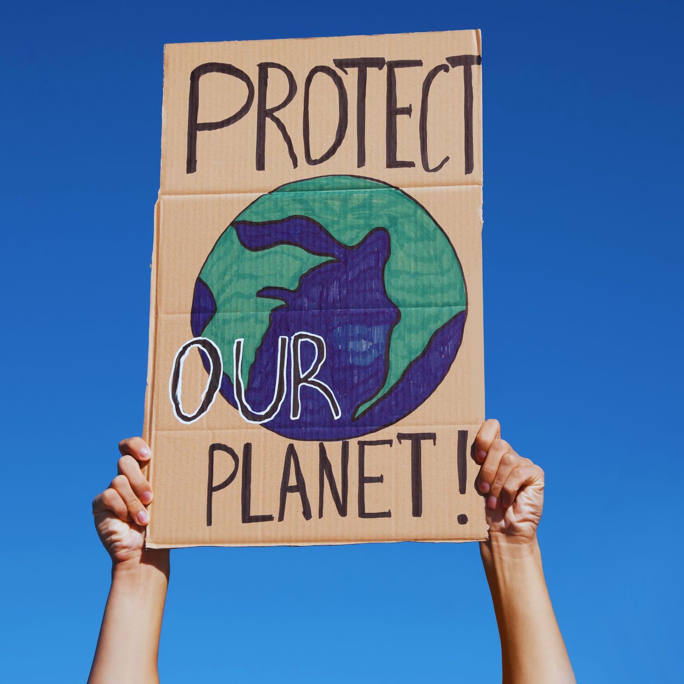 Sachbücher Klimaschutz