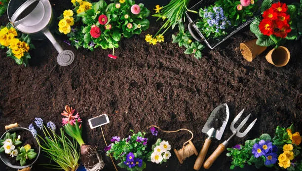 Garten und Gartenbau