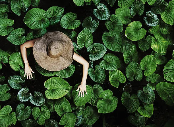 Draußen leben und erleben – Abenteuer, Natur & kreative Inspiration