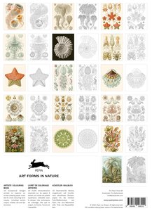 Art Forms in Nature