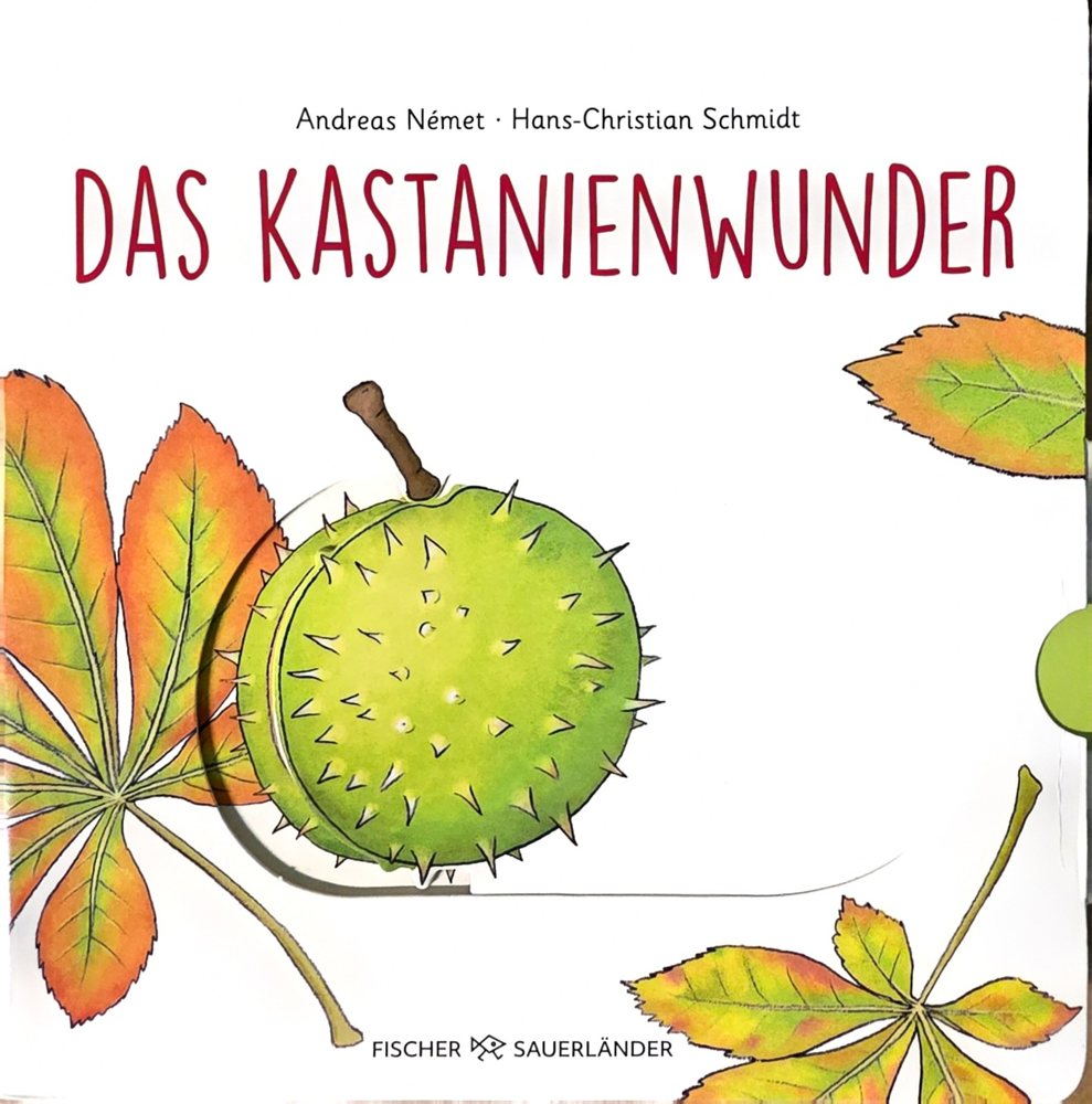 Cover: Das Kastanienwunder