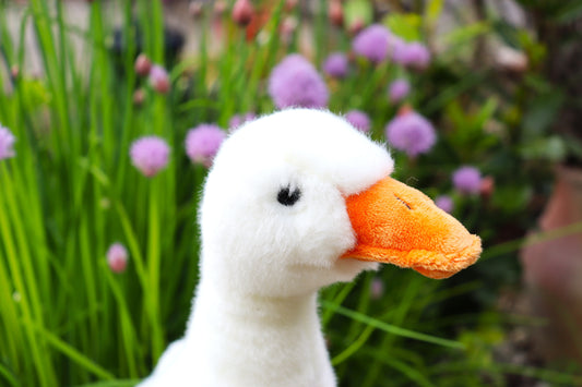 Gans (von Teddy Hermann)