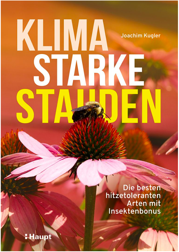 Klimastarke Stauden