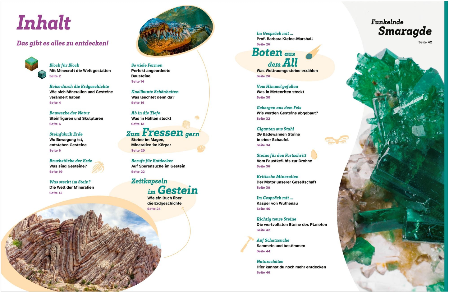 WAS IST WAS Mineralien und Gesteine. Schätze der Natur