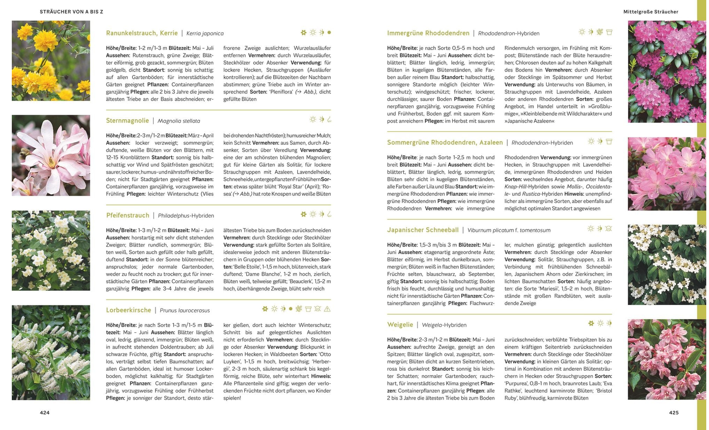Das große Praxishandbuch Garten