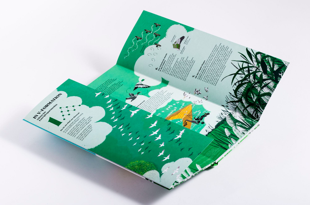 Schwarmzauber: Magische Choreografien der Natur