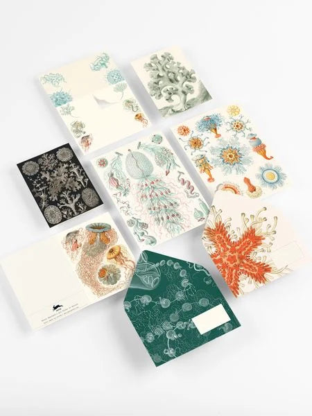 Art Forms in Nature - Briefpapier Set