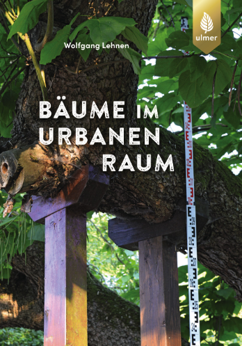 Bäume im urbanen Raum