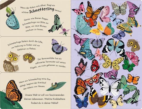 Bienen & Käfer- Ein Klipp-Klapp-Buch über Krabbeltiere