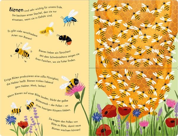 Bienen & Käfer- Ein Klipp-Klapp-Buch über Krabbeltiere