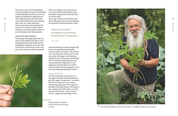 Die "Unkräuter" in meinem Garten