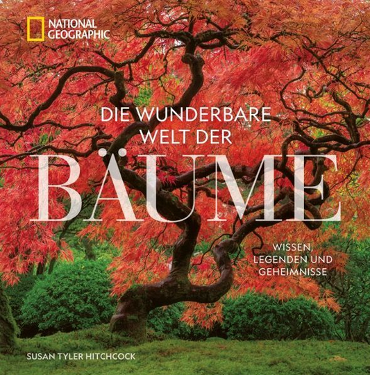 Die wunderbare Welt der Bäume