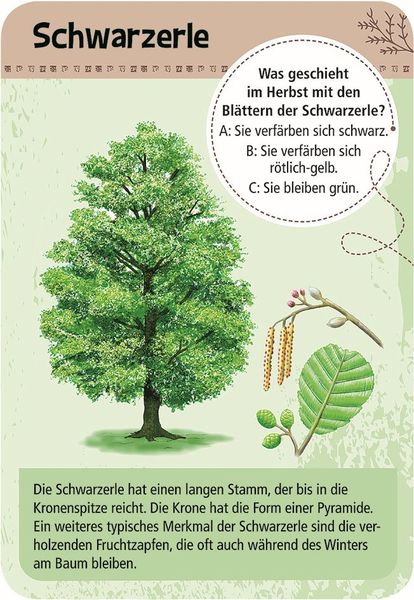 Expedition Natur - 50 heimische Bäume entdecken & bestimmen
