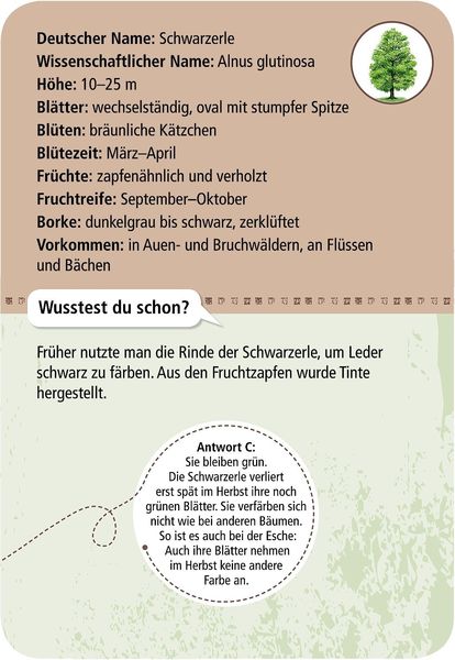 Expedition Natur - 50 heimische Bäume entdecken & bestimmen