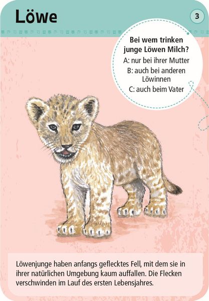50 Tierkinder