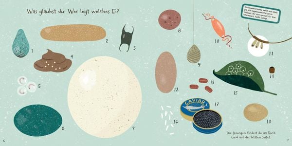 Hartgekochte Fakten über Eier