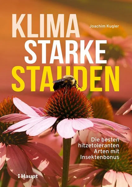 Klima starke Stauden