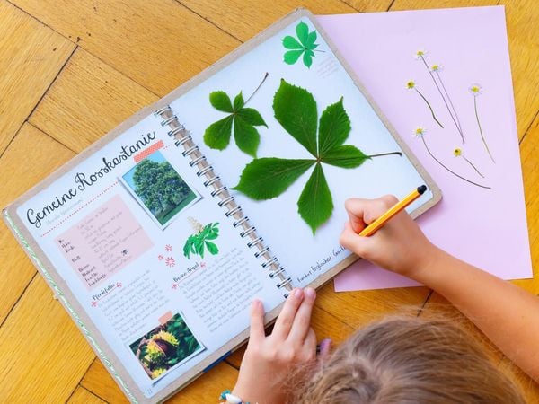Naturforscher-Kids – Blüten und Blätter entdecken und sammeln