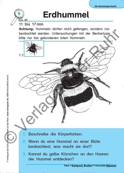 Tiere in Kompost, Boden und morschen Bäumen