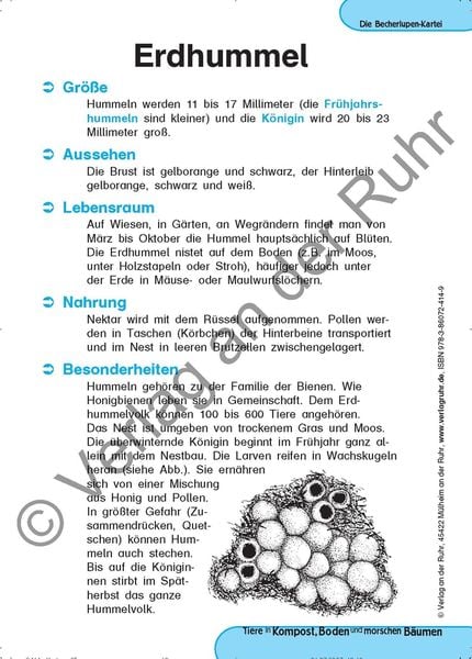 Tiere in Kompost, Boden und morschen Bäumen
