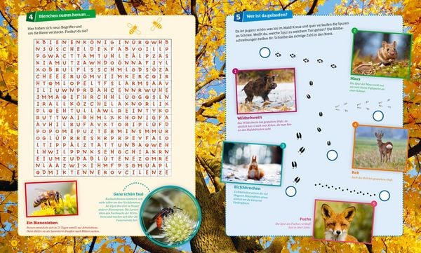 WAS IST WAS Rätseln und Stickern: Natur